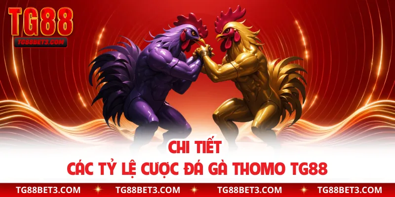 Chi tiết các tỷ lệ cược đá gà Thomo TG88 