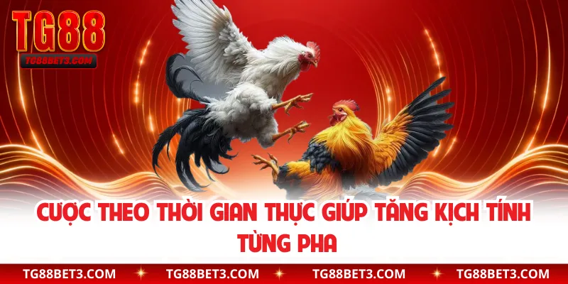 Cược theo thời gian thực giúp tăng kịch tính từng pha