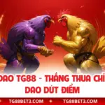 Đá Gà Cựa Dao TG88 - Thắng Thua Chỉ Trong 1 Cú Dao Dứt Điểm
