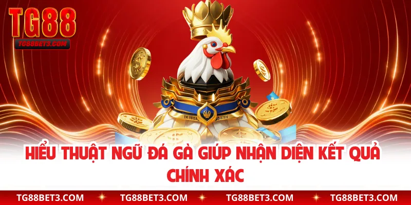 Hiểu thuật ngữ đá gà giúp nhận diện kết quả chính xác