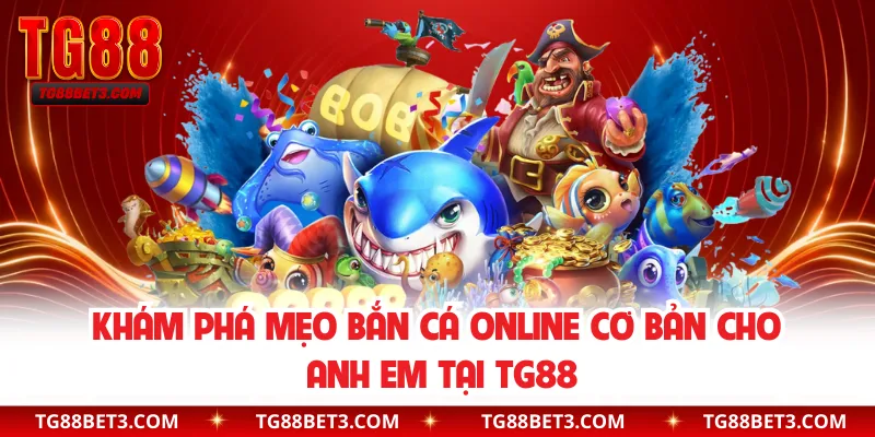 Mẹo quan sát và chọn mục tiêu cá thông minh 