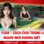 Xóc Đĩa TG88 - Cách Chơi Trúng Lớn 90% Người Mới Không Biết